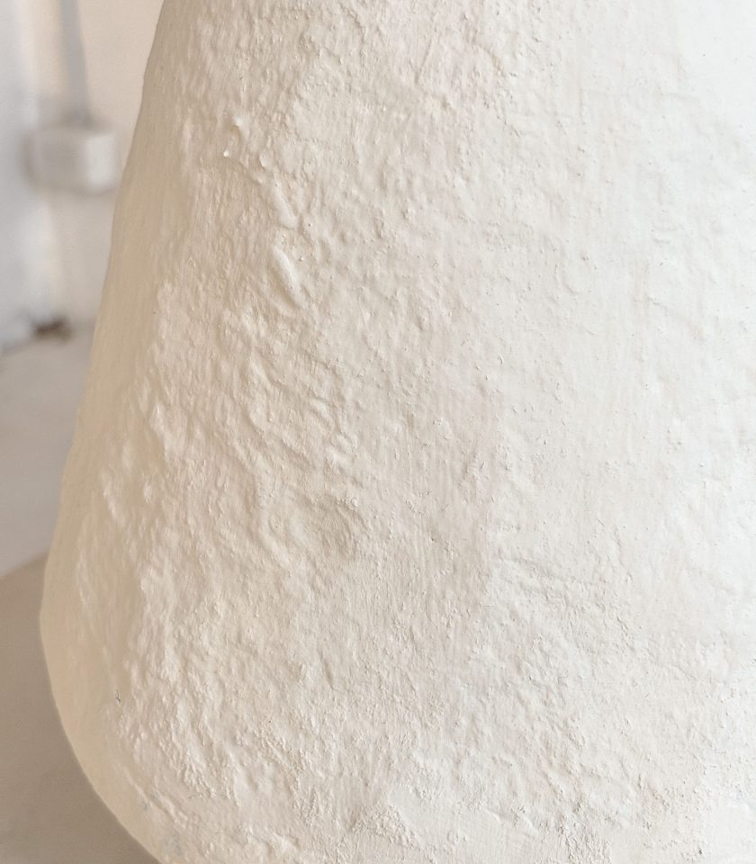 Vasija Cauce - Imagen 8