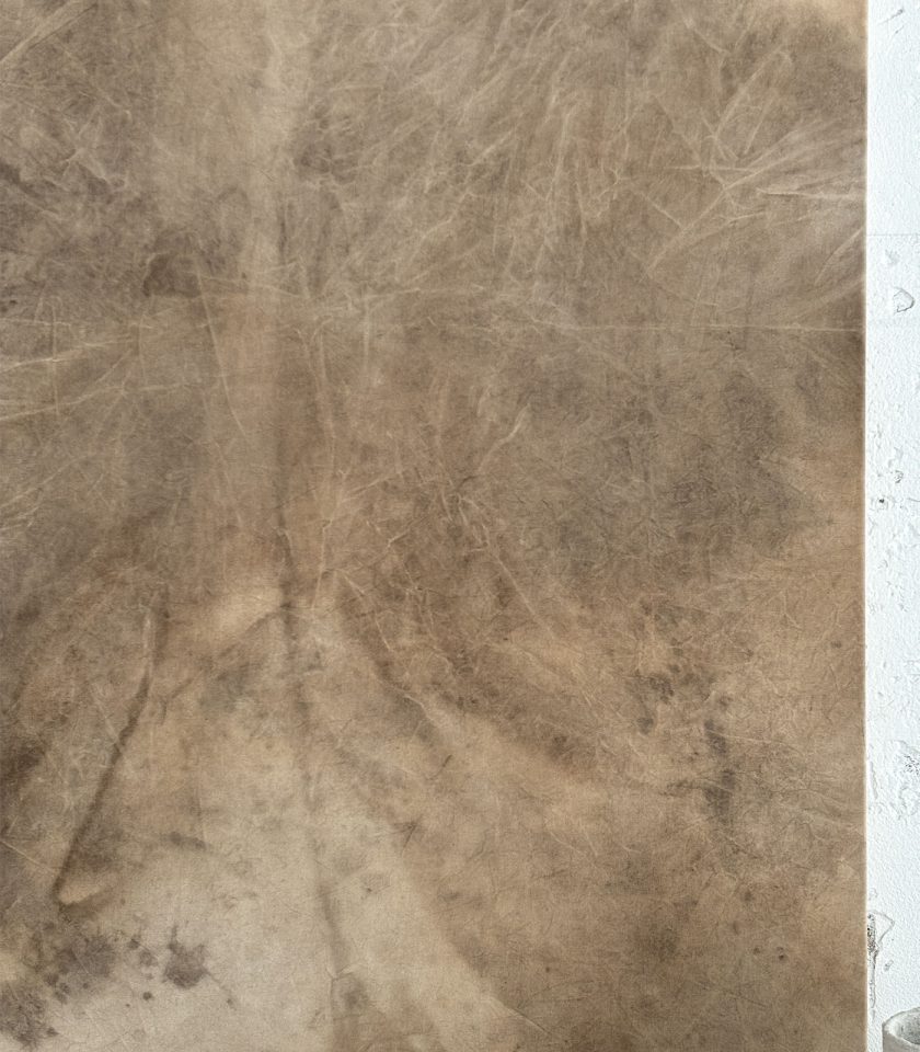 Obra de Arte Tierra 015 - Imagen 8