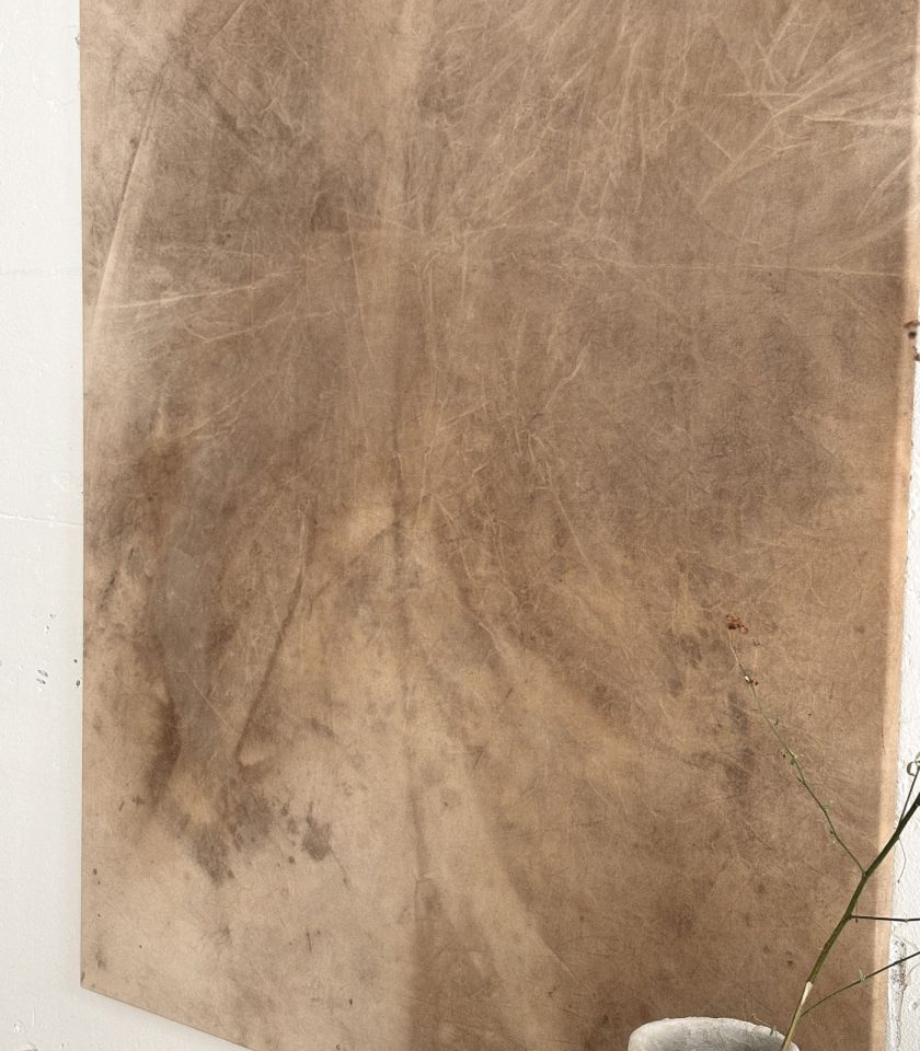 Obra de Arte Tierra 015 - Imagen 2