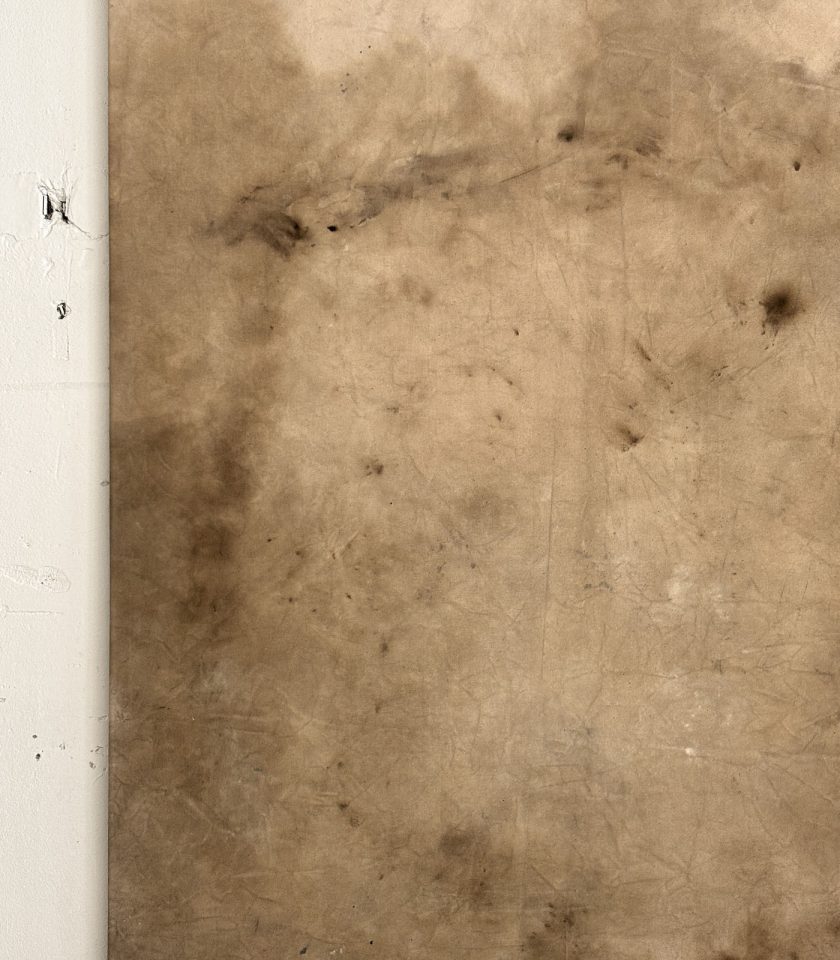 Obra de Arte Tierra 017 - Imagen 10