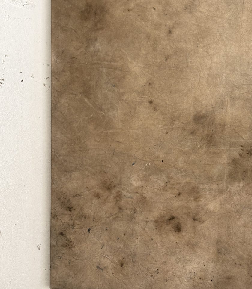 Obra de Arte Tierra 017 - Imagen 6