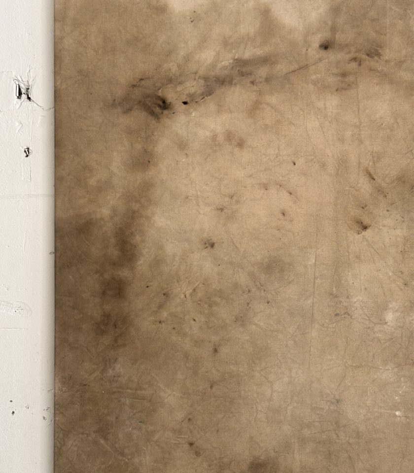 Obra de Arte Tierra 017 - Imagen 2