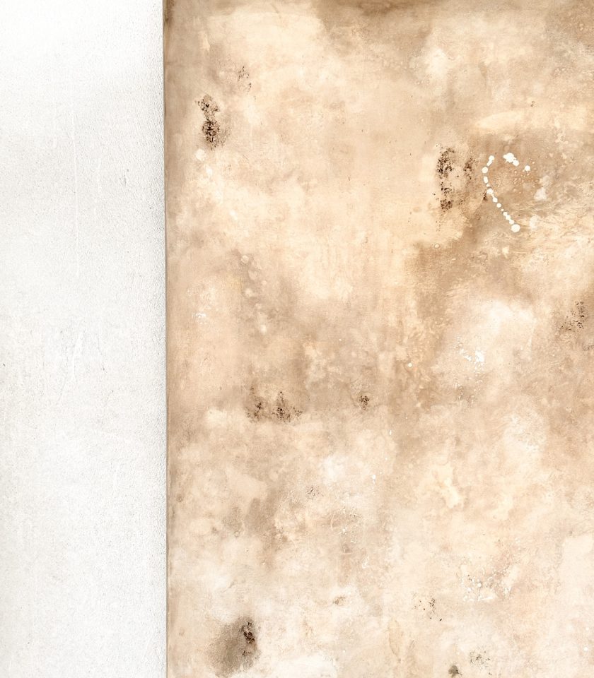 Obra de Arte Crudo 001 - Imagen 6
