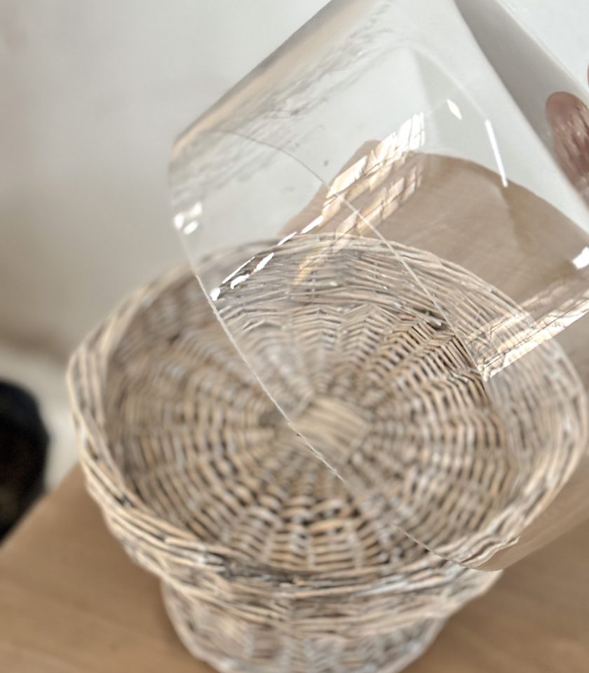 Campana de Vidrio Hubei - Imagen 3