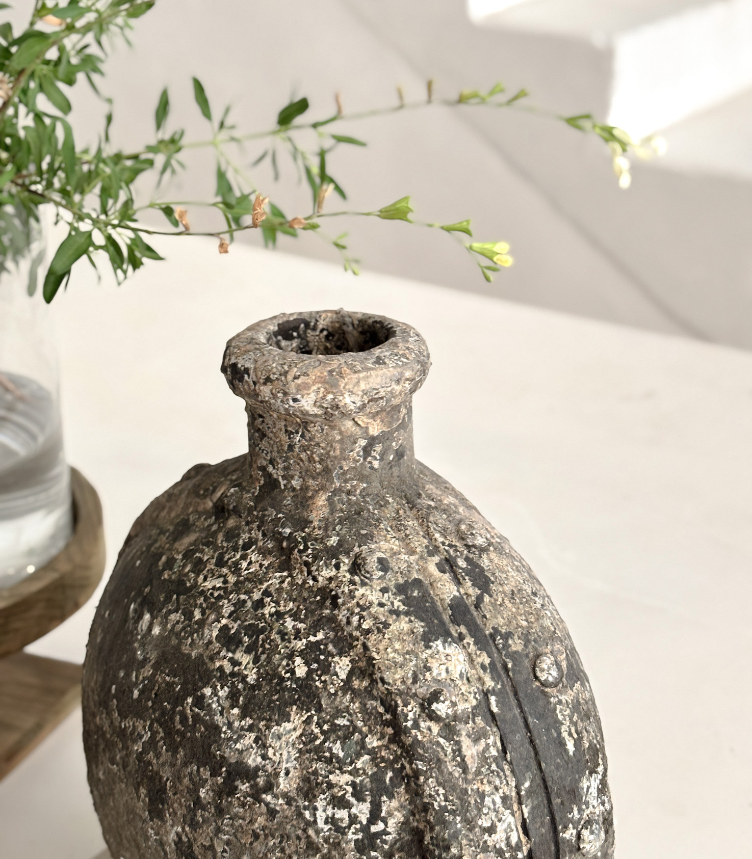 Vasija Quillen - Imagen 2