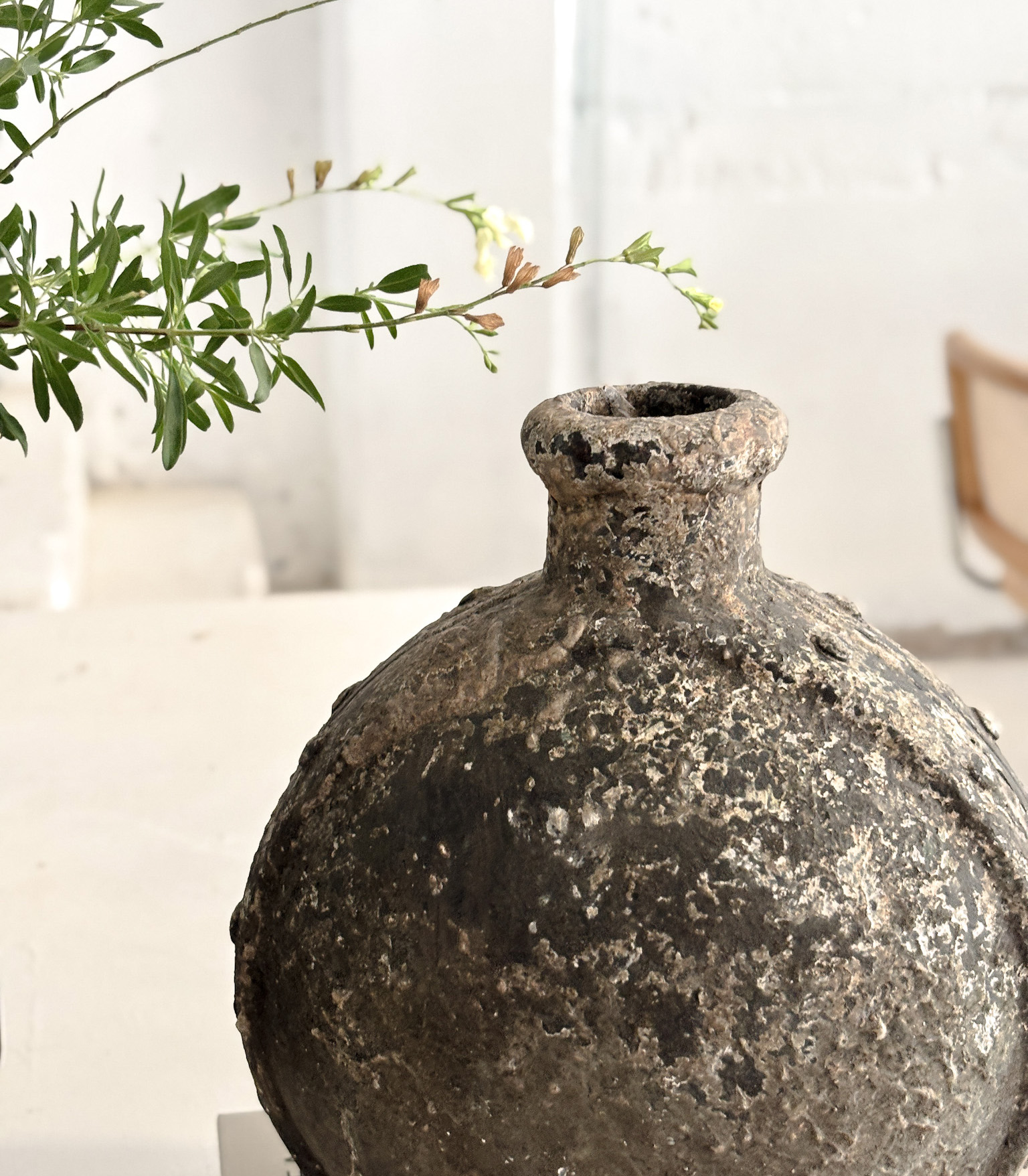 Vasija Quillen - Imagen 4