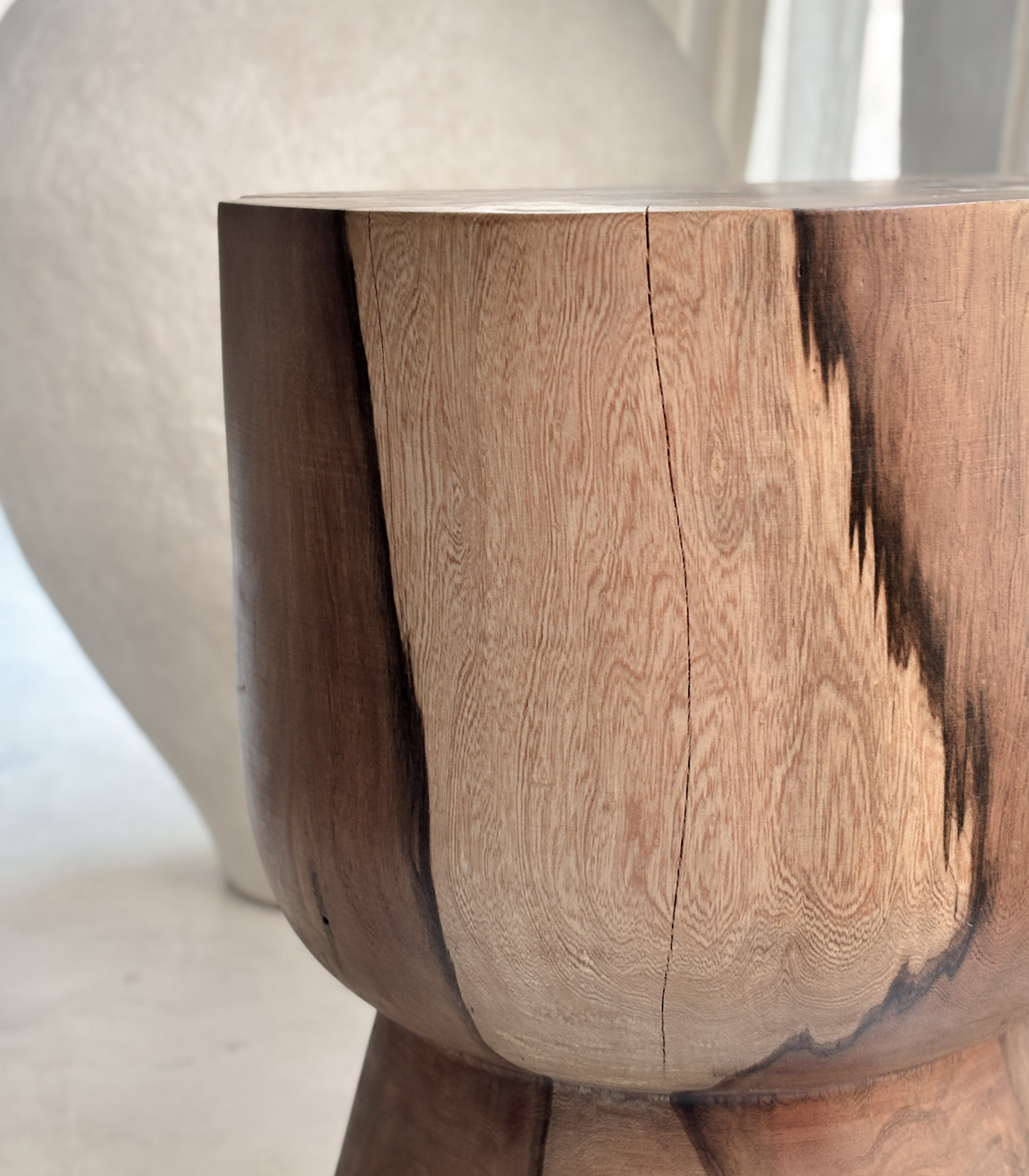 Tocho N1 - Imagen 20